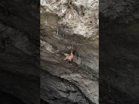 Miniatura de agonia video 1