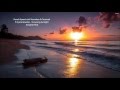 Ronski Speed with Stoneface & Terminal ft Sylvia Brandse - Drowning Sunlight (Original Mix)