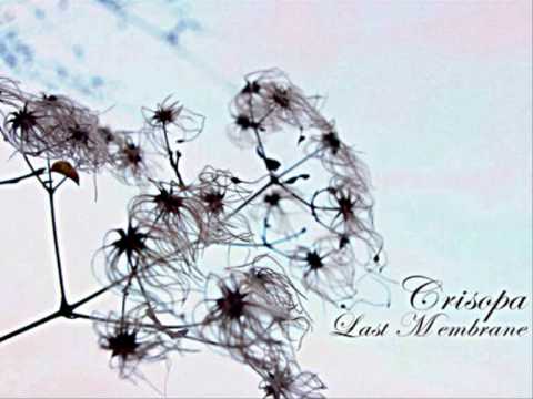 Crisopa - Dancing Curtains