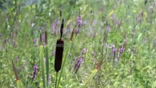 Hayley Reardon . Good