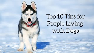 Top 10 Tips and Recommendations for People Living with Dogs