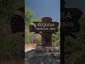 De Costa A Costa Aventura Americana E Seu 4 De Julho