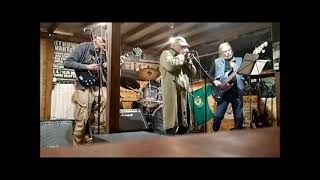 Video Hoochie Coochie Man