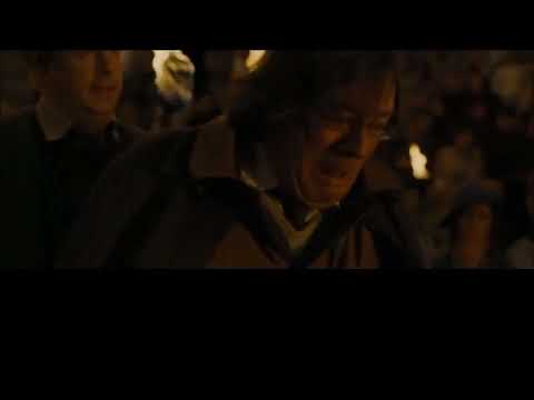 Thats my son thats my boy - Harry Potter