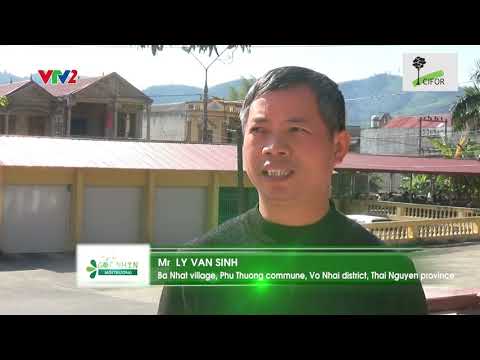 View from Vietnam: Realizing the true values of our forests