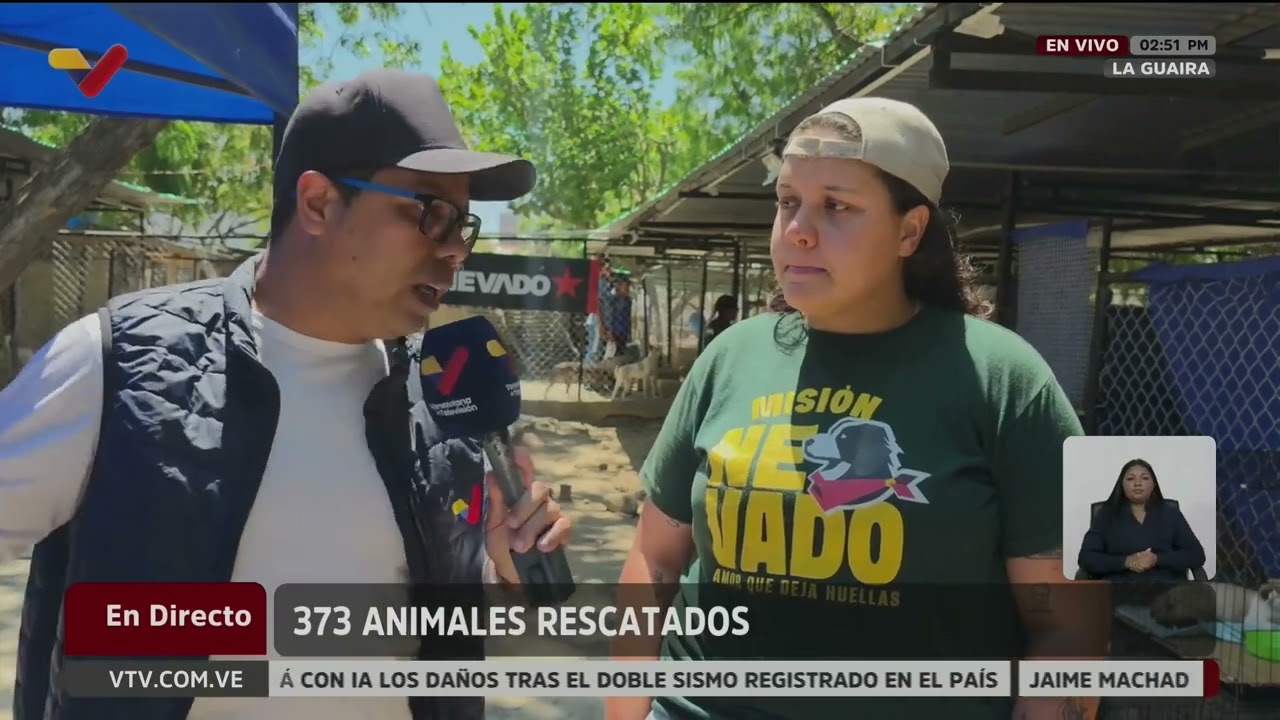 Refugio para animales en Los Corales mantiene 650 perros o gatos: hay adopciones y consultas