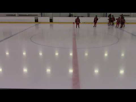 U15 Scandic Luleå HF - Diskos