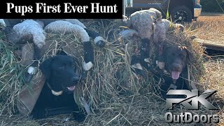 Michigan Goose Opener 2025 [Hazel's and Oakley's First Hunt!!!]