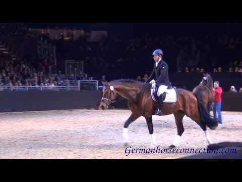 Vater zu Katnr. 18 R.Enheduanna: Escolar auf der Equitana Hengstschau 2013 (4j.)