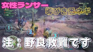 ランサーはランサーを呼ぶ②初顔合わせの野良救難に入ったら、何も言っていないのに即席ランス部隊が出来た【モンハンアイスボーン】【NHIB】PS5