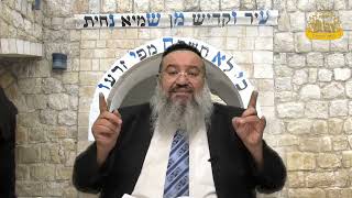 פניני הזוהר על הפרשה עם הרב רחמים נמני | פרשת חיי שרה (מוסדות כיסא רחמים) - התמונה מוצגת ישירות מתוך אתר האינטרנט יוטיוב. זכויות היוצרים בתמונה שייכות ליוצרה. קישור קרדיט למקור התוכן נמצא בתוך דף הסרטון