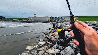 Dam Fishing for Anything that Bites (Whitebass Catch & Cook) | Kansas Part I