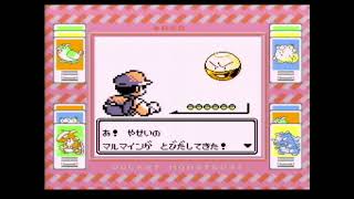【ポケットモンスター赤】ななしのどうくつ攻略【Part19】