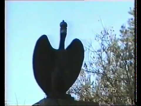 Ostrołęka w latach 1995-1997