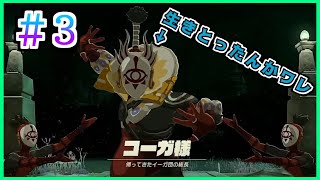 #3 【ゼルダの伝説 ティアーズ オブ ザ キングダム】裏でやりすぎたけどカカリコ村から