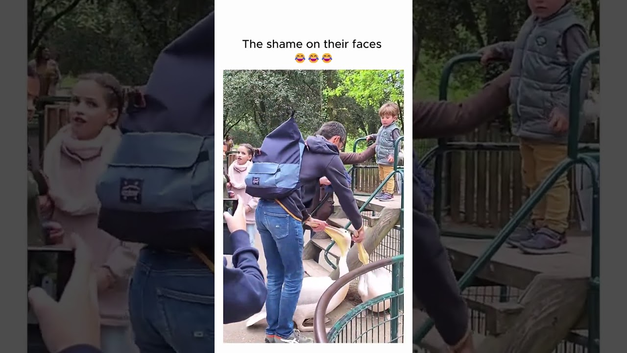 The shame on their faces lol