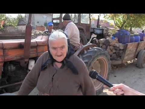 Diguri de protectie la Slatina Timis