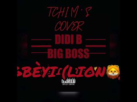 Tchim’s - Gbèyi (Lion🦁)