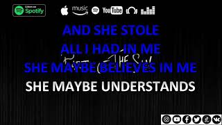 Party Of The Sin - She Stole (with lyrics)