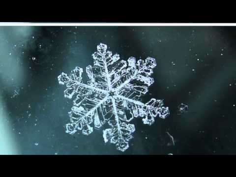 Trouble Andrew - Run Hide