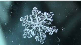 Trouble Andrew - Run Hide