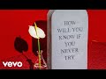 COIN - Miranda Beach (Audio)