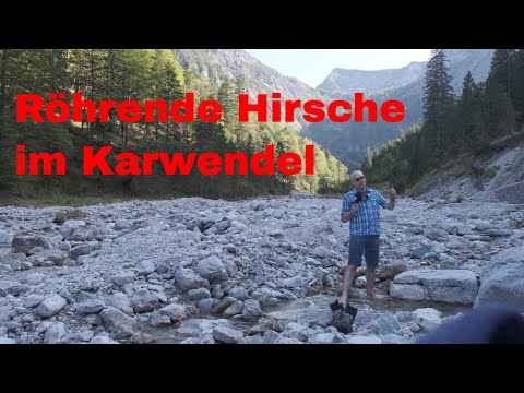 Wilde Hirsche und Munitionskisten - ein Abenteuer im Karwendel in der Brunftzeit der Rothirsche
