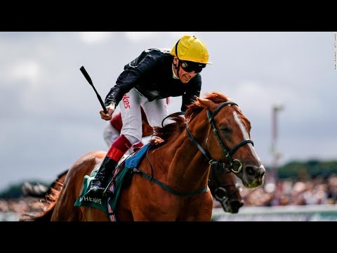 Stradivarius Scoops .28M Bonus In Virtuoso Season