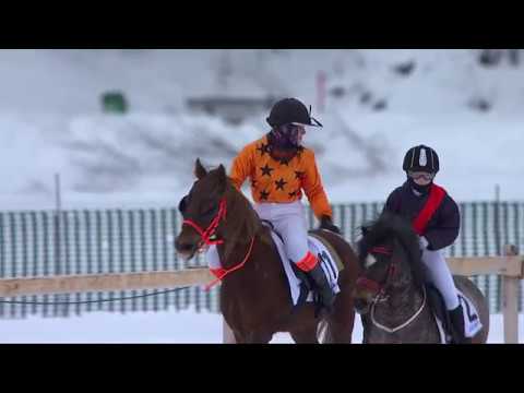 White Turf St. Moritz Highlights