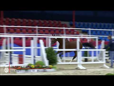 28 Hengst v  Los Angeles   Lancer III