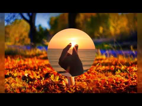 Lolita Joue - Bonjour Madame [Bass Boosted]