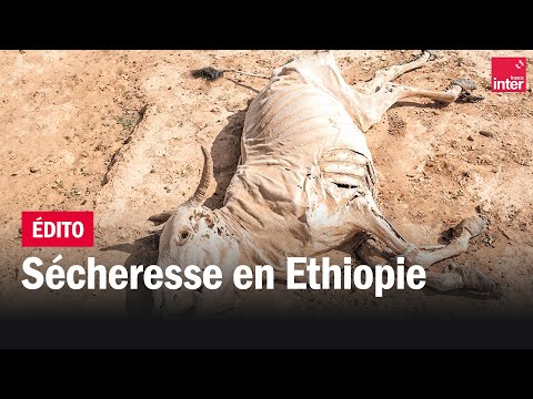Sécheresse : l'Ethiopie ne voit plus la pluie
