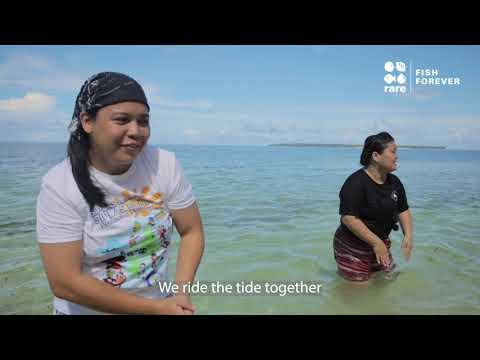 Keepers of the Sea – Rare