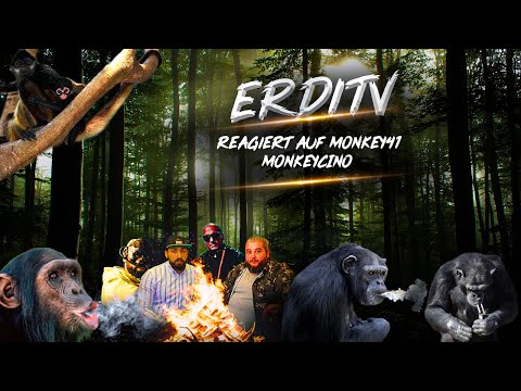 ErdiTv Reagiert auf MONKEY41 - MONKEYCINO