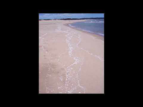 Colonia and Punta del Este, Uruguay