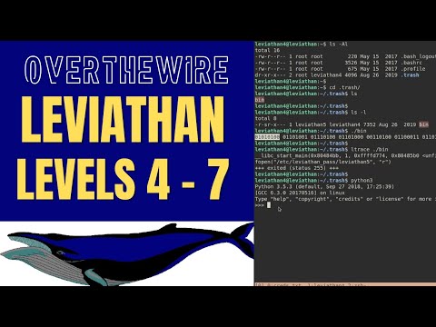 OverTheWire: Leviathan Walkthrough: Levels 4 - 7 (Finale)