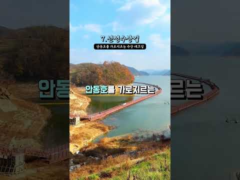 2025 안동 관광 숏폼 공모전 최우수상 미리보기 사진