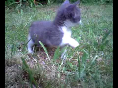 Caro mit Ersatzpapa Lucky