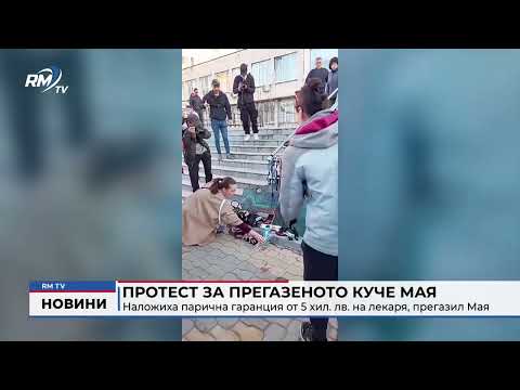 Протест за прегазеното куче Мая: Наложиха парична гаранция от 5 хил. лв. на лекаря, прегазил Мая
