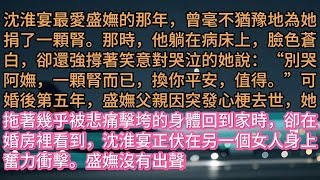 《紅塵婆娑皆過客》沈淮宴最愛盛嫵的那年，曾毫不猶豫地為她捐了一顆腎。那時，他躺在病床上，臉色蒼白，卻還強撐著笑意對哭泣的她說：“別哭阿嫵，一顆腎而已，換你平安，值得。”可婚後第五年，盛嫵父親因突發心梗