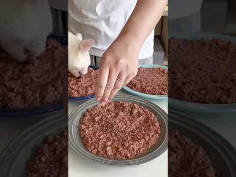 Why I Took a Break from Uploading Videos... But Don't Worry, I'm Back!