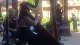 Marry You (Bruno Mars) - LA Harp and Violin