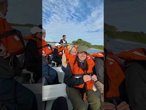 Esteros del Iberá - Colonia Carlos Pellegrini - Corrientes #fauna #navegación