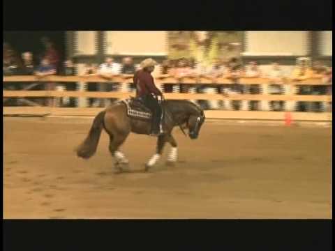 Great Red Chex Dany Tremblay