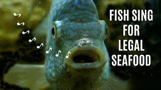 Singing Fish Commercial for Legal Seafood (Blues)