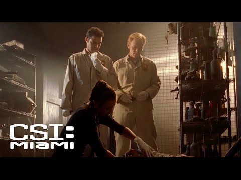 Horatio Is in the Right Place At the Right Time!