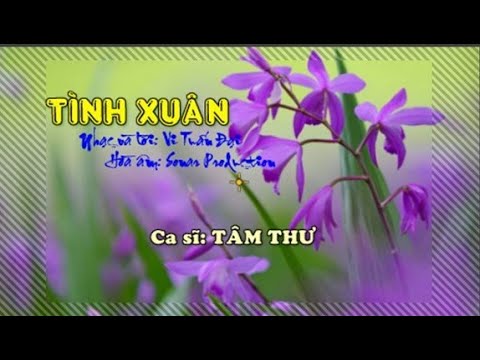 Tình xuân - Tâm Thư