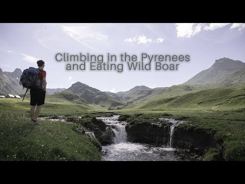 France - I Eat a Wild Boar and Climb a Mountain