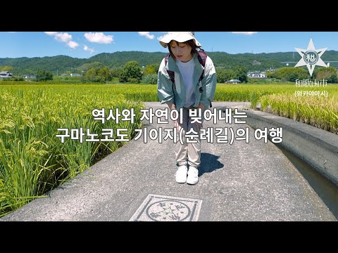 【와카야마시】　역사와 자연이 빚어내는 구마노코도 기이지(순례길)의 여행