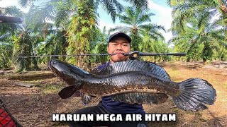 Download lagu Casting HARUAN BESAR Di Spot Parit Air Hitam  mp3